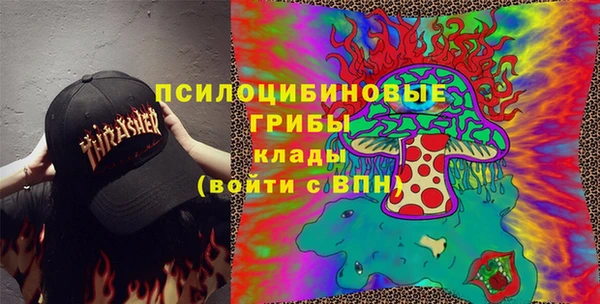 герыч Арсеньев