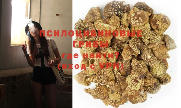 герыч Арсеньев