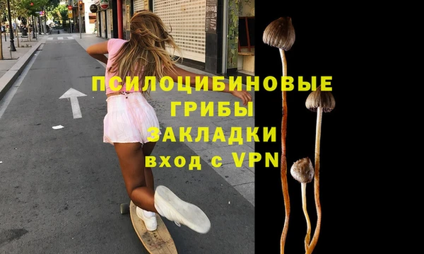 дурь Армянск
