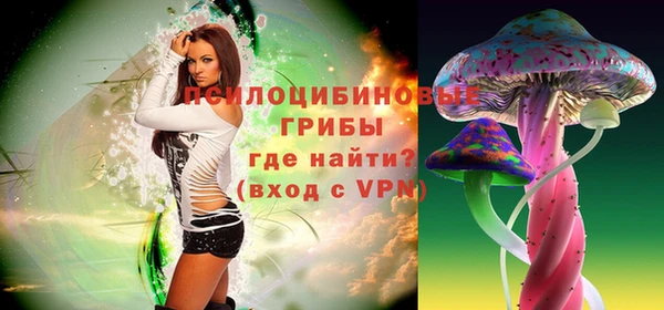 герыч Арсеньев